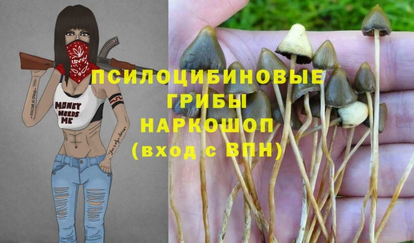 амф Балахна
